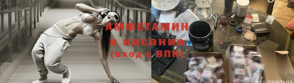 гидра Аркадак