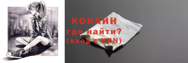 дживик Арсеньев