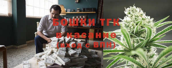 дживик Арсеньев