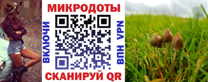 Галлюциногенные грибы Magic Shrooms  Хотьково 